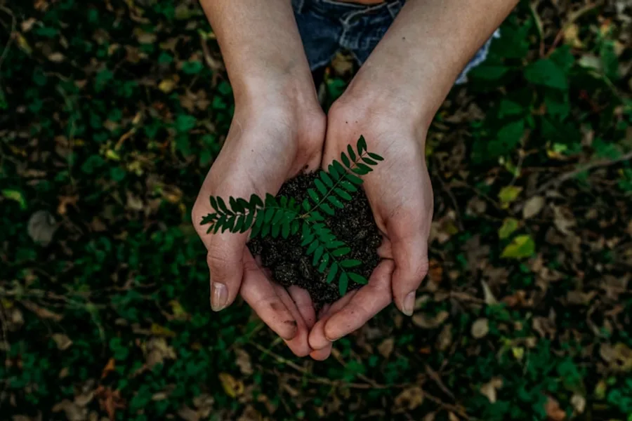 Eco Action club — environment