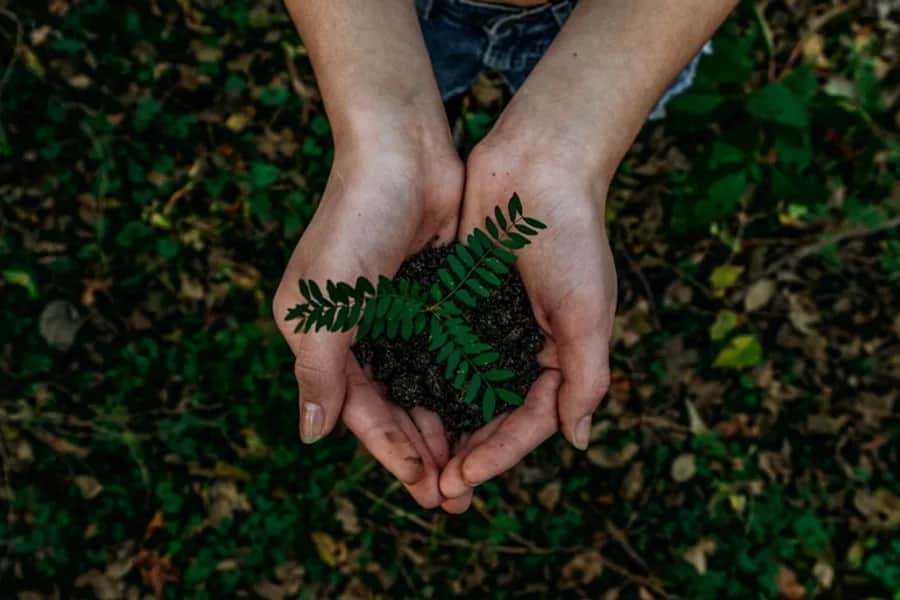 Eco Action club — environment